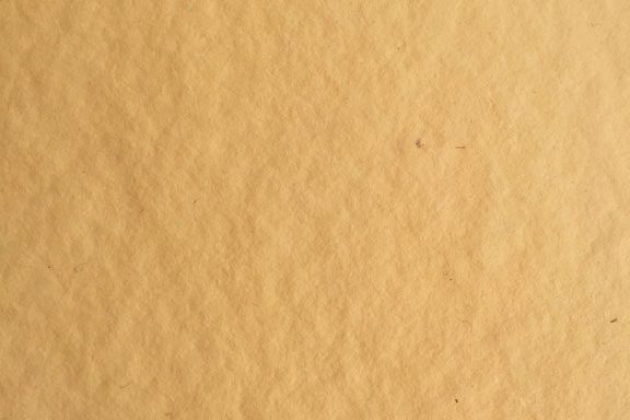 HMP00035 (Warm Yellow)