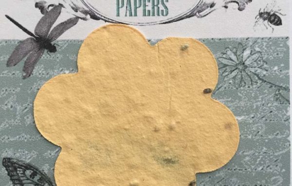 PBS1000 (Flower Favour #1)